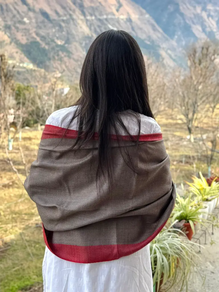sawomi-kullu-himachal-brown-stole-x-design-pure-wool-back.jpg.webp